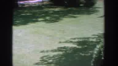 Wisconsin (1964): View Of White Birdbath Green Grass And Blooming Red Flowers On A