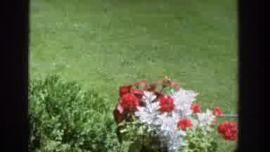Wisconsin (1964): People Looking At Some Flowers In A Garden In A Sunny Day