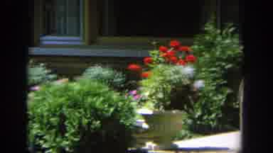 Wisconsin (1964): Woman Walking On Driveway Garden In Front Of A Home
