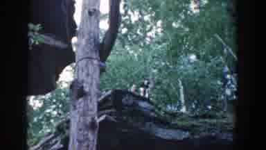 Wisconsin (1964): The Family Dog Sits Atop A Rocky Ridge In The Forest
