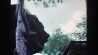 Wisconsin (1964): Tiger Amazes A Crowd Of People During Peak Zoo Hours