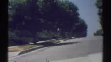 Woodland Hills California (1969): Green Tall Trees On The Road