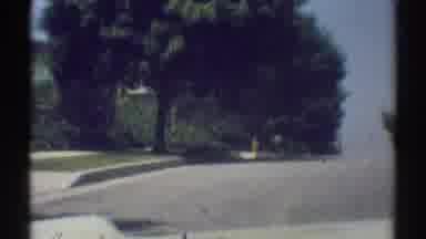 Woodland Hills California (1969): The View Of A Tree From Inside A Moving Vehicle
