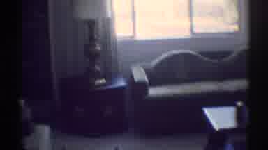 Woodland Hills California (1969): Two Windows With Plants View A Couch And Two