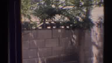 Woodland Hills California (1969): Woman Having A Drink In A Shady Backyard Palm