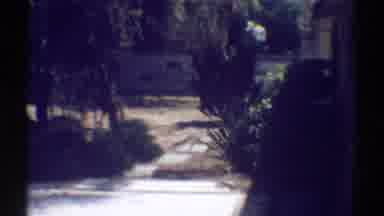 Woodland Hills California (1969): Bottom Of A Backyard Of A House With Many Pine
