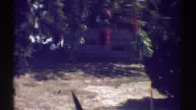 Woodland Hills California (1969): The Walking In Garden With The Trees And Herbs