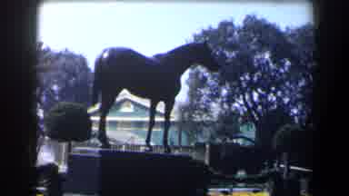 California (1958): View Of Black Horse Statue On A Bright Sunny Day