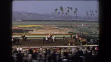California (1958): Jockeys On Horseback On Race Track Gathering For Race Palm
