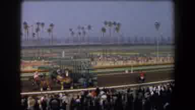 California (1958): View From Grandstands At Horse Racing Event Palm Trees Around