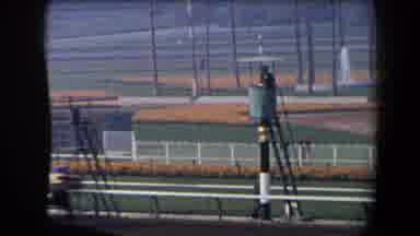 California (1958): Spectators In Grandstands Watch As Horses Race By On Sunny Day