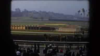 California (1958): A Lot Of People Watching Together An Horses Race Outside