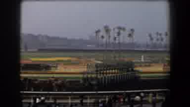 California (1958): People Cheer As They Watch Horse Race At A Stadium