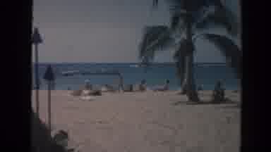 Hawaii (1961): Beach Scene Of People On The Beach And Palm Trees