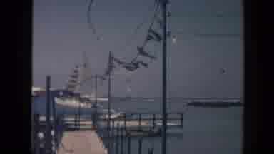 Hawaii (1961): Old Video Of The Sea Coast And The Promenade With Palm Trees