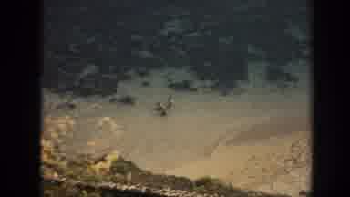 Hawaii (1961): An Aerial Footage Showing People Having Fun At The Beach