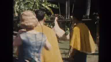 Hawaii (1961): People Surround Hanging Sacrificed Animal Appearing To Be Either