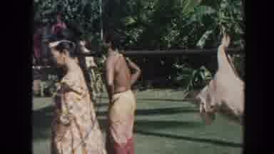 Hawaii (1961): Hawaiian People Gathered With Pig On Rotisserie Pole Preparing For