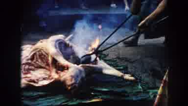 Hawaii (1961): Culture Of A People To Prepare Meat And Food In A Special Ceremony