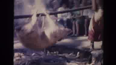 Hawaii (1961): A Tribe Of Black Skin People Making A Orc Cooked On Fire
