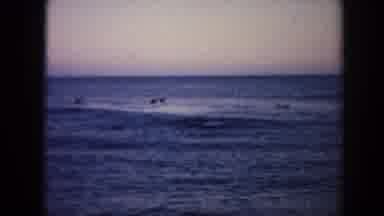 Hawaii (1961): Surfers Trying To Catch A Small Wave
