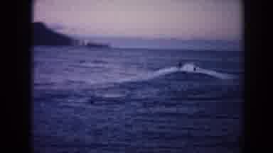 Hawaii (1961): People Swimming In The Ocean And It Looks Like It's Windy