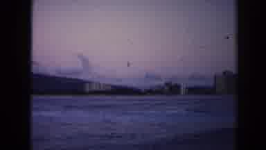 Hawaii (1961): View Of Lake With Lots Of Ducks Floating On It