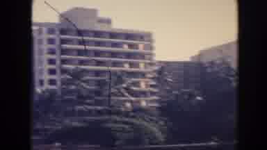 Hawaii (1961): A Few Palms Trees On A City Boulevard And A Background Full Of