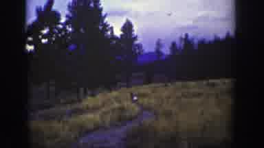 Wyoming (1939): A Pair Of Little Deer Jumping Over A Field Of Water And Bush And A