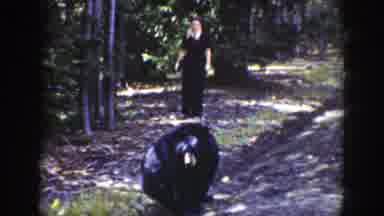 Wyoming (1939): A Lone Bear Walks Alone By The Roadside Feeding From The Ground