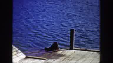 Wyoming (1939): Man Standing On The Shore Followed By A Seal On A Wood Ramp
