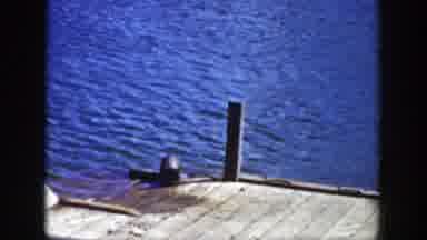 Wyoming (1939): View Of Sea lion Resting On Wooden Platform On A Bright Sunny Day