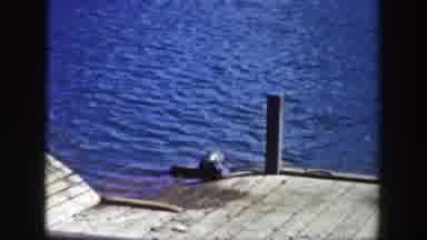 Wyoming (1939): A Raccoon Trying to Win In An Ocean By The Mole