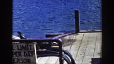Wyoming (1939): Three Wet Sea Lions On A Wooden Dock By The Water