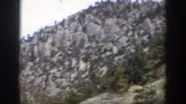 Wyoming (1939): Trees and More Trees On The Mountainside
