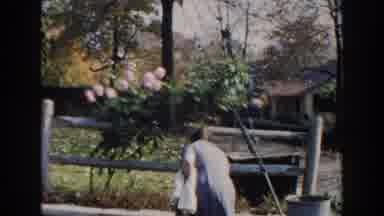 Miami Florida (1960): Lady Blue Dress Picking Up Rocks Brown Bag Terrain