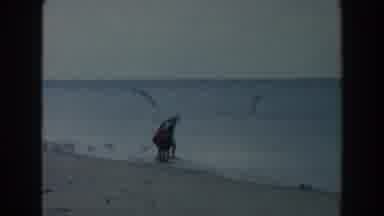 Miami Florida (1960): People On Beach And In Shallow Water Near Shore Sea Birds