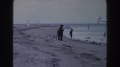 Miami Florida (1960): People On Beach With Flock Of Seagulls And Scene Of Tram