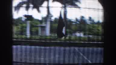 Miami Florida (1960): Primate Swings From One Structure To Another Inside Fenced