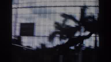 This ape is going bananas in its personal playground!