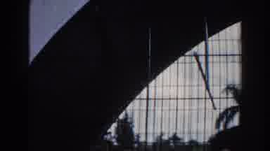 Miami Florida (1960): Monkey Blue Bird Flowers Perch Green Grass Shadow Water Grid