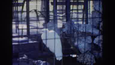 Miami Florida (1960): Three Different Encased Bird Species Exhibited In A Rocky