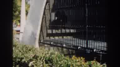 Miami Florida (1960): An Old Zoo Cage With Monkeys Inside Of It On A Vintage Video