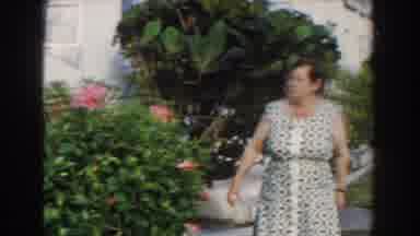 Miami Florida (1960): Grandmother Examines Her New Plants In The Garden