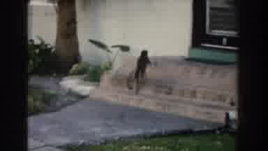 Miami Florida (1960): A Monkey Trying To Climb Inside A Building Through The