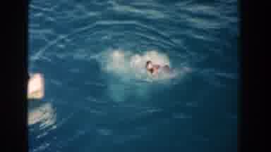 Miami Florida (1960): A Beautiful And Beautiful Sunny Day To Swim On The Beach