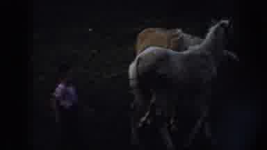 Nebraska (1958): Two Horses And Young Boy In Field Walking By Waving