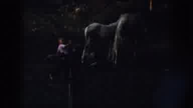 Nebraska (1958): Two Horses In A Dark Room Being Driven Out To Receive Brightness