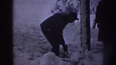 Nebraska (1958): A Guy At A Forest With A Shovel Taking Some Snow Out Near A Tree