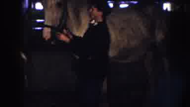Nebraska (1958): Two People In Barn With Adult And Baby Horse Each Person Stands